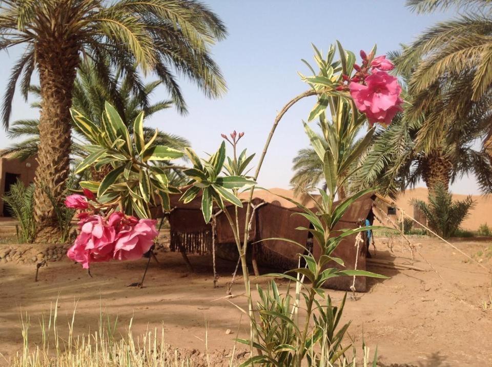 Chez Madani Hotel M'Hamid Exterior photo